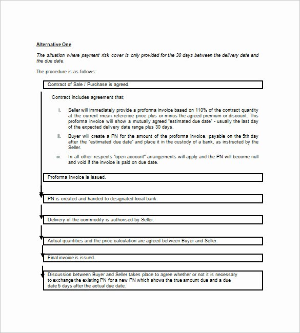 International Promissory Note Template Unique 8 International Promissory Note Templates Google Docs Ms Word Apple Pages