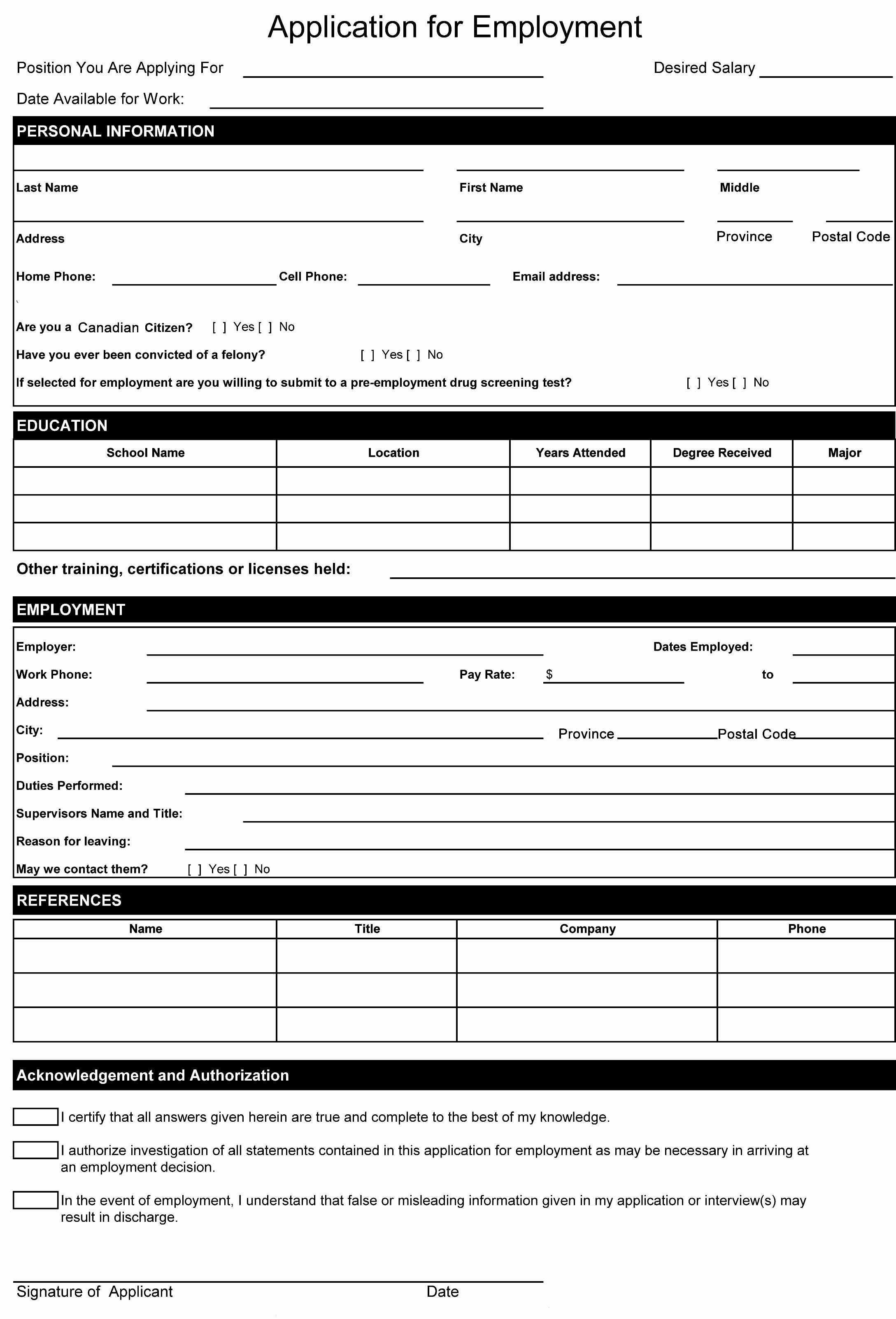 Job Application Template Doc Elegant Resume format Word Document Resume format