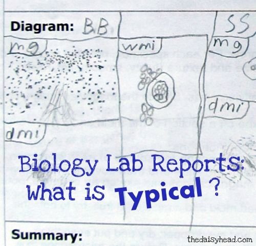 Lab Report Template Middle School Unique Homeschool Lab Reports