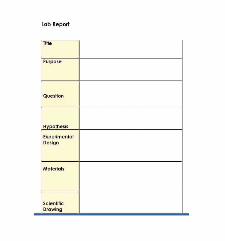 Lab Report Template Word Best Of 12 Lab Report Templates Writing Word Excel format