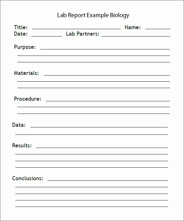Lab Report Template Word Fresh Free 7 Sample Lab Report Templates In Pdf Google Docs Ms Word