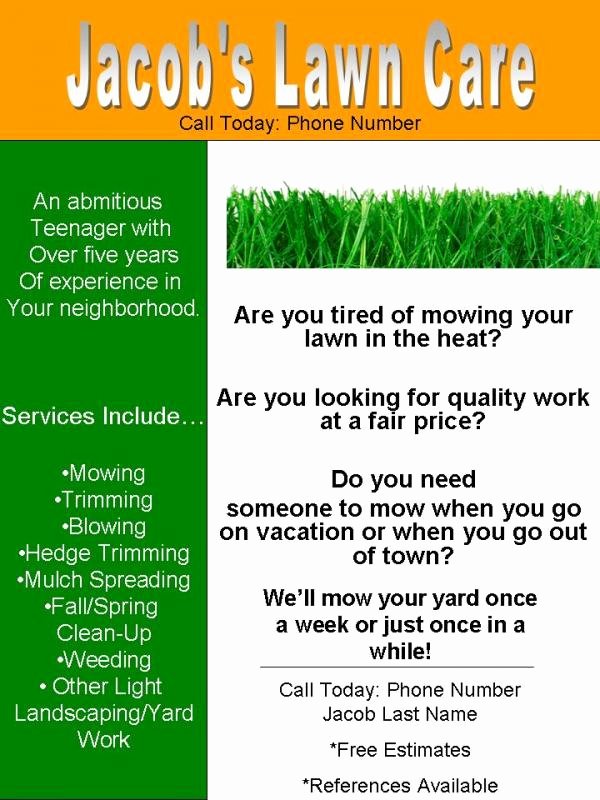 Lawn Mower Flyer Template Fresh My Lawn Care Flyer What Do You Think Page 3