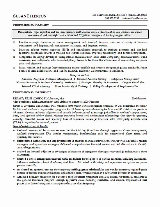 Legal Resume Template Word Beautiful Litigation attorney Resume Example