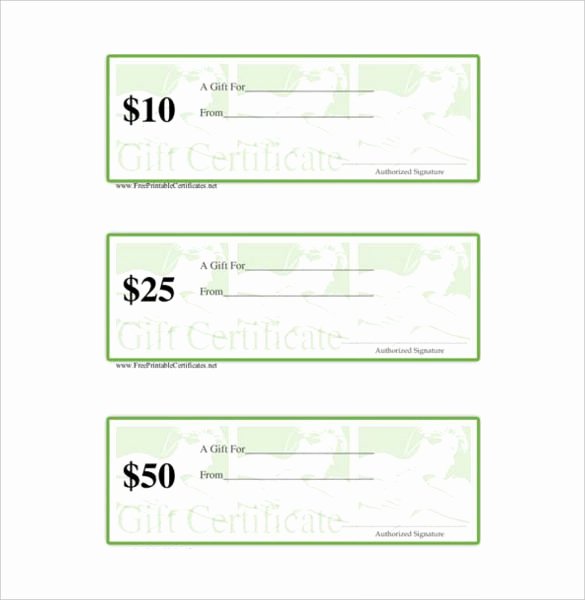 Massage Gift Certificate Template Luxury 7 Massage Gift Certificate Templates Free Sample Example format Download