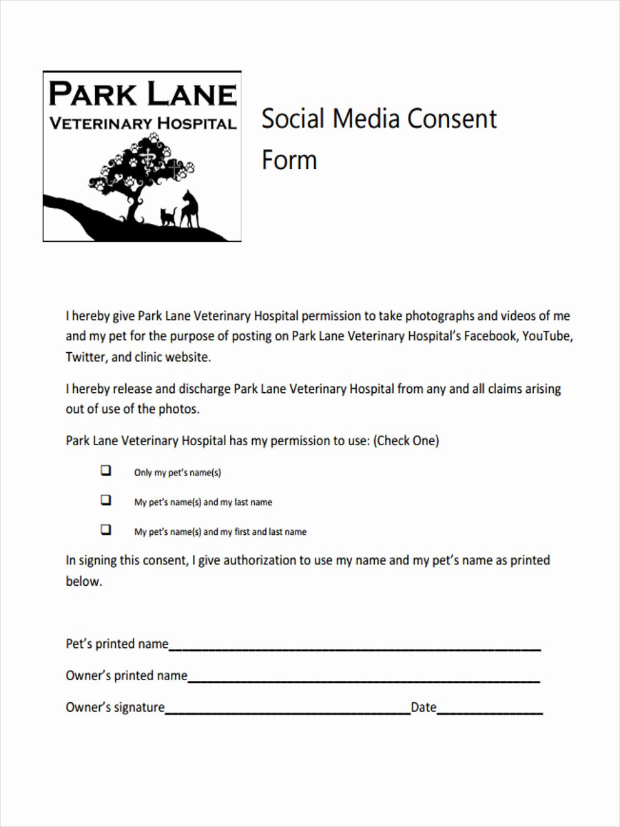 media consent form sample