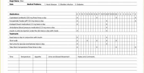 Medical Lab Results Template Inspirational Medical Lab Results Spreadsheet Printable Spreadshee Medical Lab Results Spreadsheet