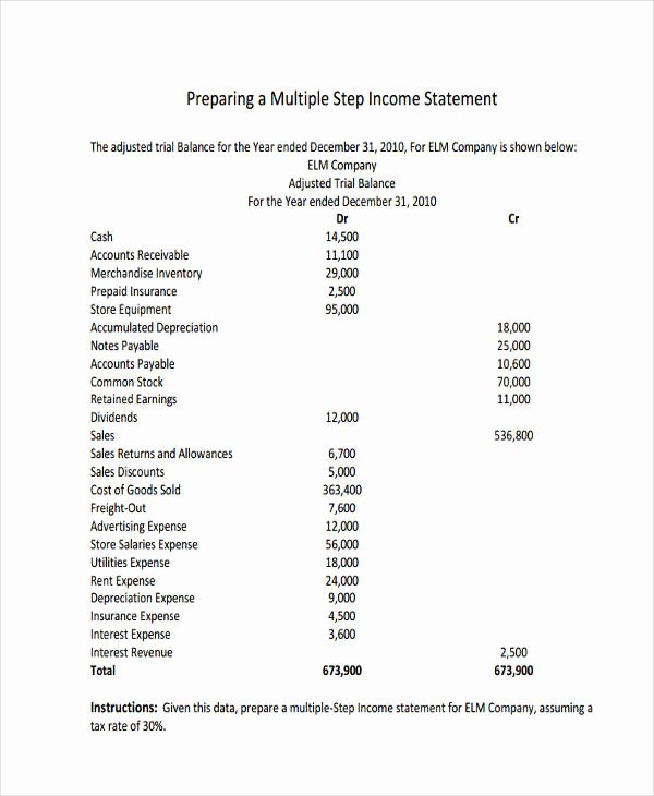 Multi Step Income Statement Luxury Free 53 In E Statement Examples &amp; Samples In Pdf Google Docs Pages Word
