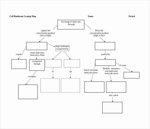 Nursing Concept Map Template Lovely Nursing Concept Mapping Template