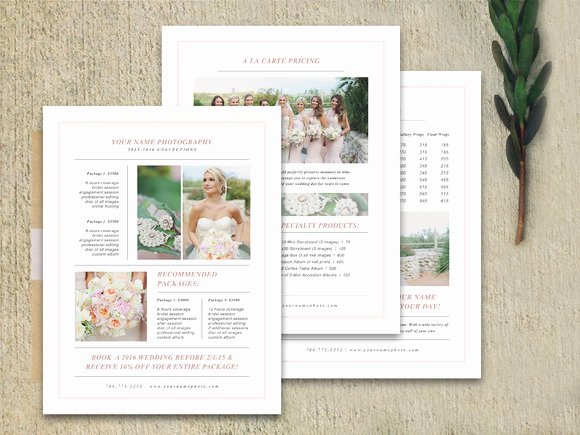 Photography Marketing Templates Free Fresh Wedding Pricing Guide Set Brochure Templates On Creative Market