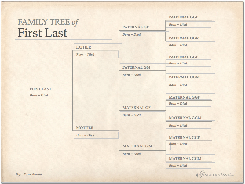 Picture Of A Family Tree Beautiful Family Tree Template Finder Free Charts for Genealogy