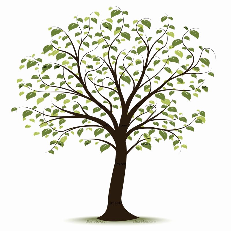 Picture Of A Family Tree Unique Free Family Tree Clipart Clipartix