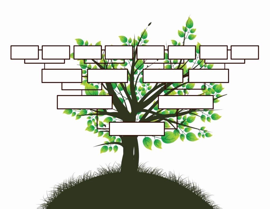 Picture Of Family Tree Awesome Free Editable Family Tree Template Daily Roabox