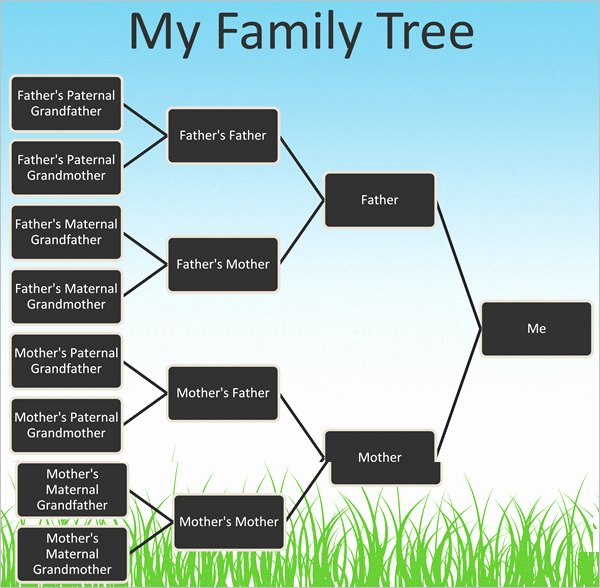 Powerpoint Family Tree Template Awesome 7 Powerpoint Family Tree Templates