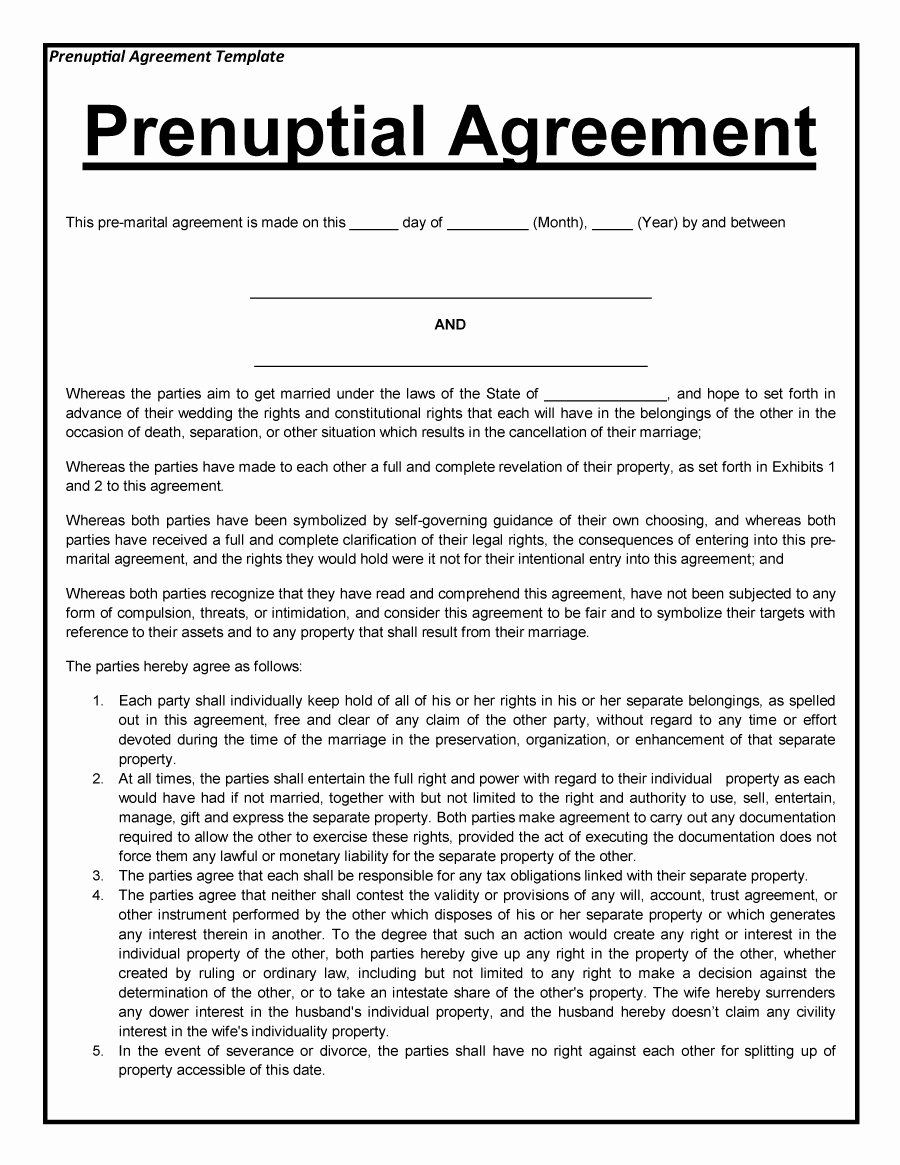Prenuptial Agreement Sample Pdf Unique Pre Marriage Agreement