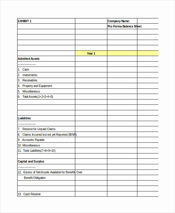 Pro forma Balance Sheet Template Beautiful Pro forma Excel Template 14 Free Excel Documents Download