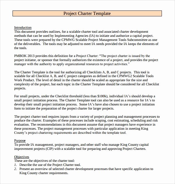 Project Charter Example Pdf Elegant Free 8 Project Charter Templates In Pdf
