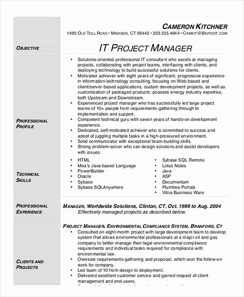 Project Manager Resume Pdf Elegant It Manager Resume Sample and Tips