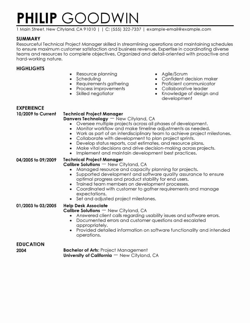 Project Manager Resume Sample Doc Beautiful 9 Amazing Puters &amp; Technology Resume Examples