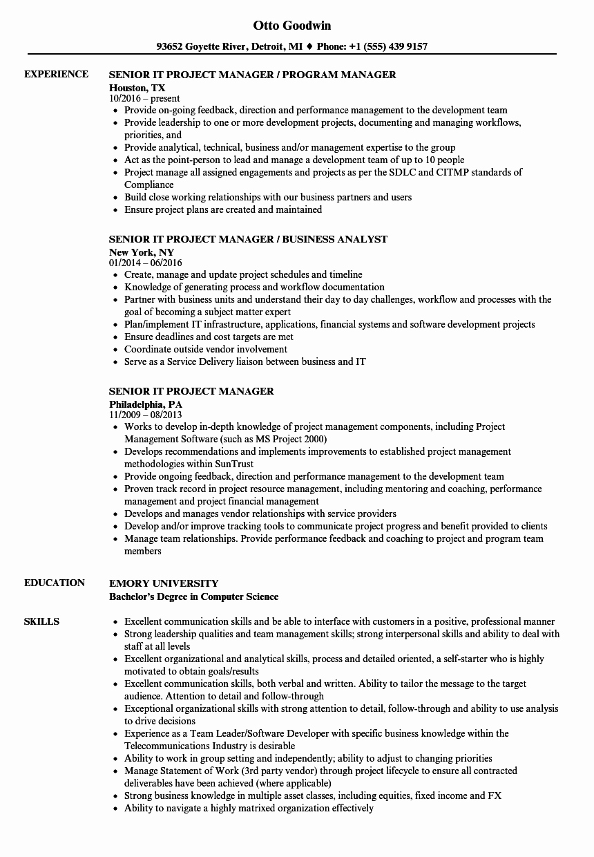Project Manager Resume Sample Doc Beautiful Senior It Project Manager Resume Samples