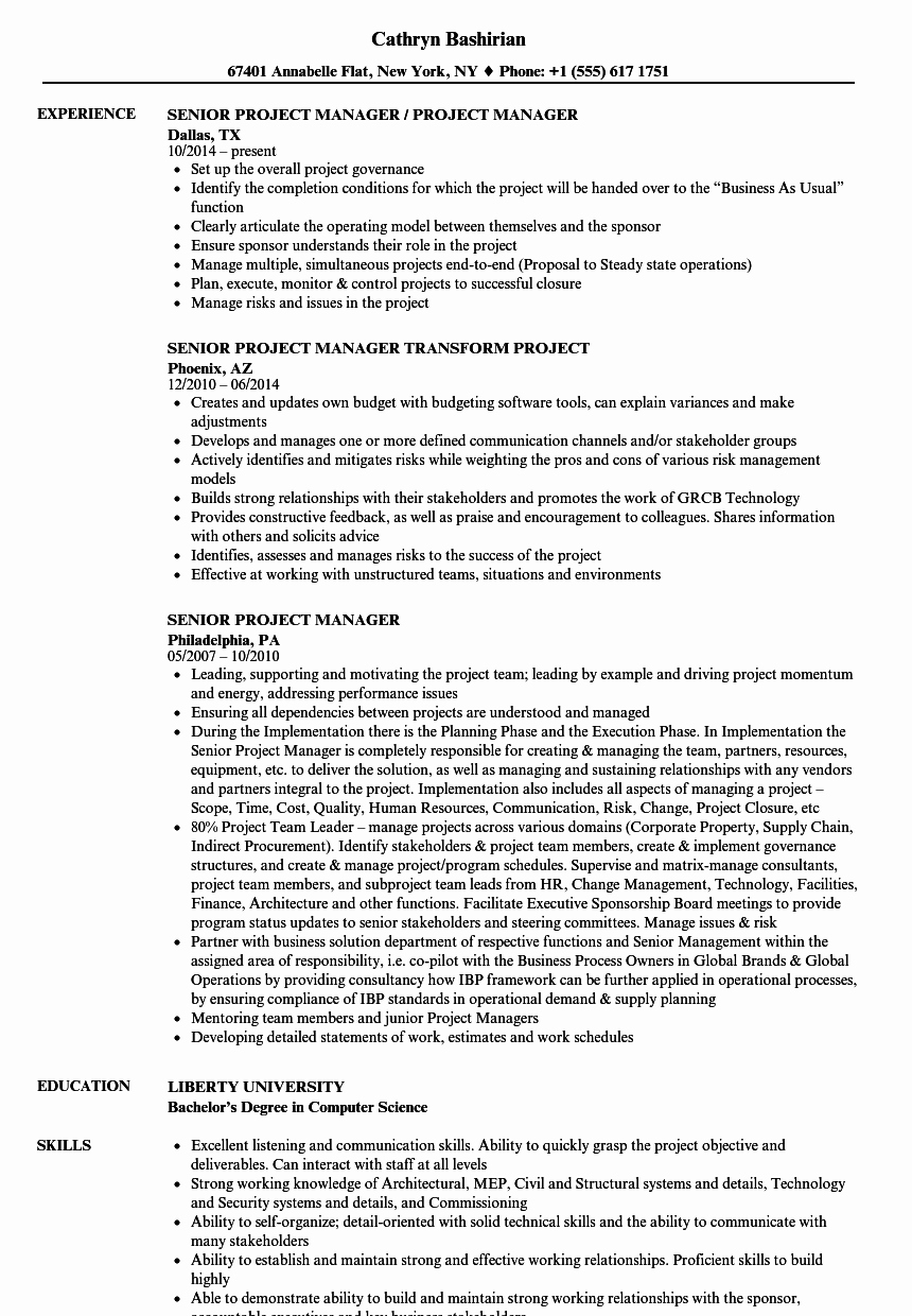 Project Manager Resume Sample Doc Luxury Senior Project Manager Resume Samples