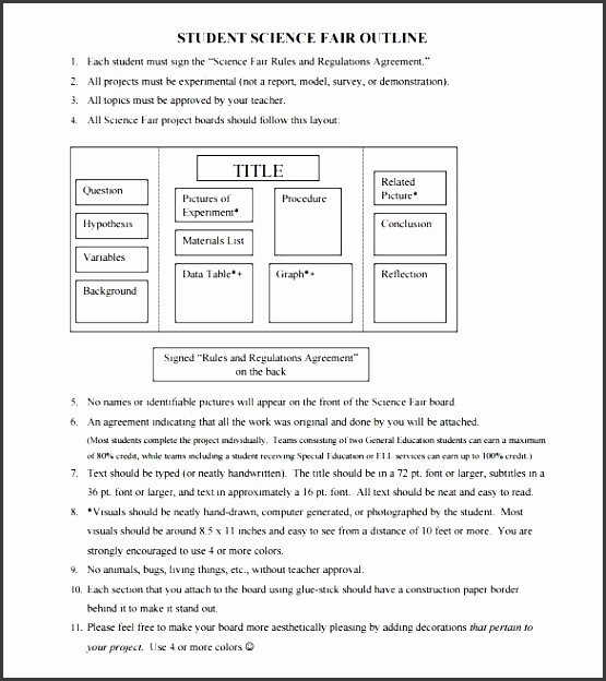 Project Outline Template Word Unique 8 Blank Project Outline Sampletemplatess Sampletemplatess