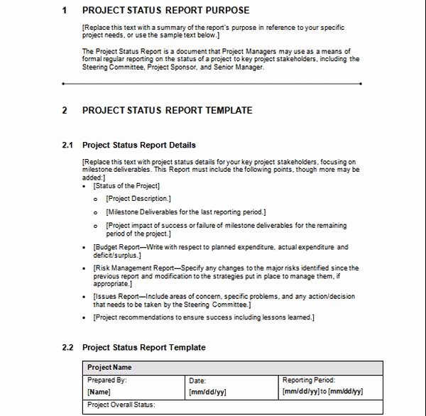 Project Report Template Word Inspirational Microsoft Word Templates Free Project Status Report Template