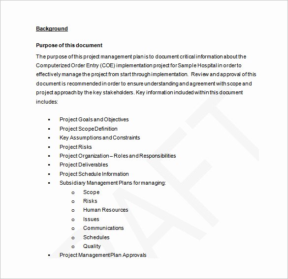 Project Scope Example Pdf Luxury Project Scope Management Plan Examples