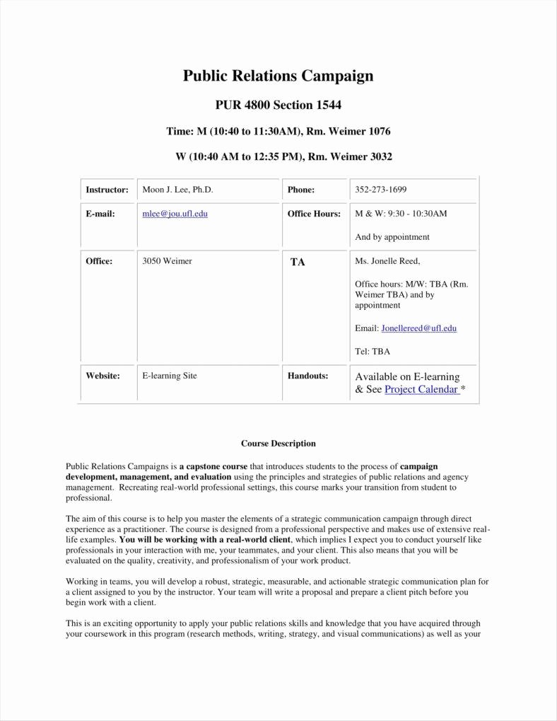 Public Relations Proposal Example Luxury 11 Public Relations Proposal Templates Free Pdf Doc format Download