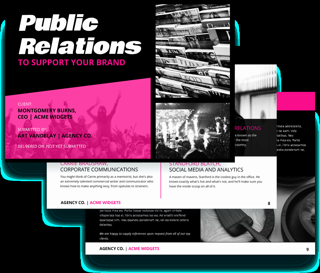 Public Relations Proposal Sample Best Of Public Relations Proposal Template Free Sample