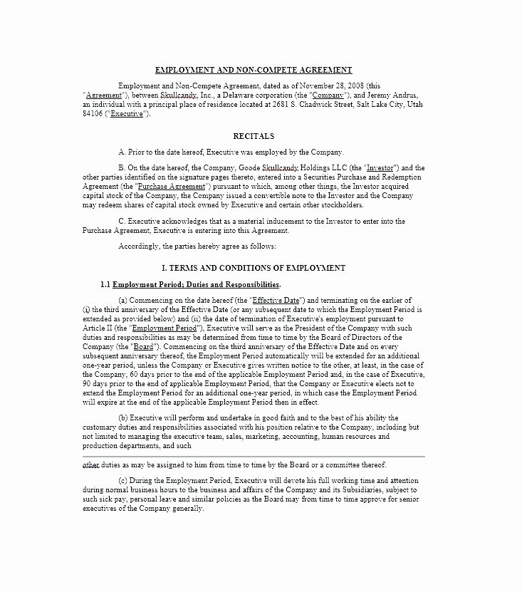 residential snow removal contract template