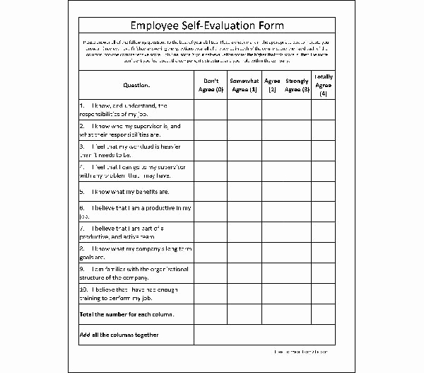 Restaurant Employee Evaluation forms Luxury Accounting Staff Evaluation form Sample forms