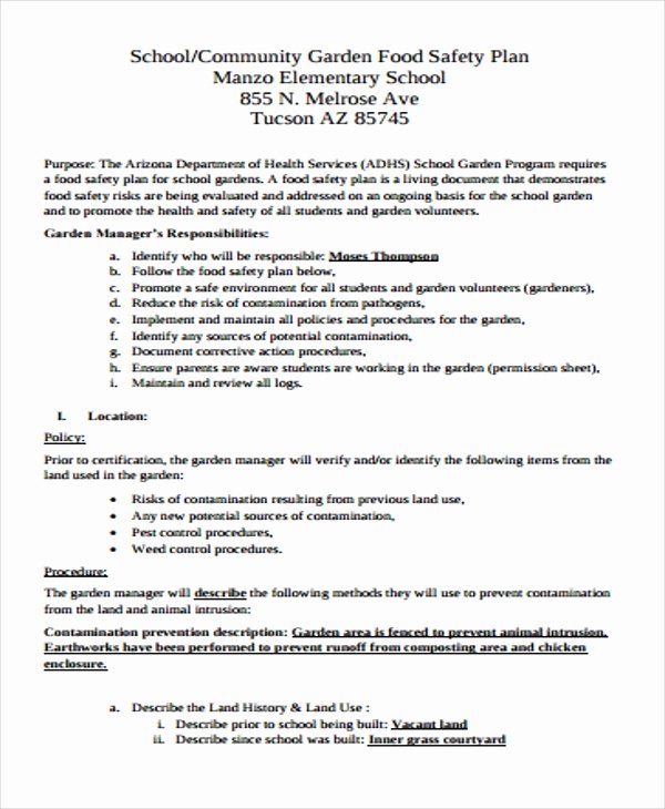Safety Plan Template for Students New 35 Safety Plan formats Word Docs Pdf