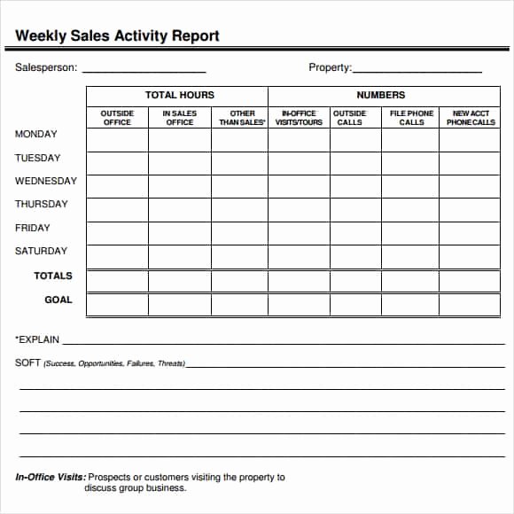 Sales Call Report Template Luxury 7 Sales Report Templates Excel Pdf formats