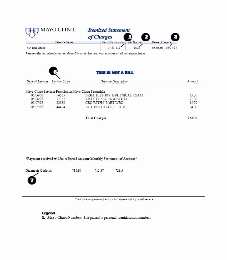Sample attorney Billing Statement Best Of 40 Billing Statement Templates [medical Legal Itemized More]