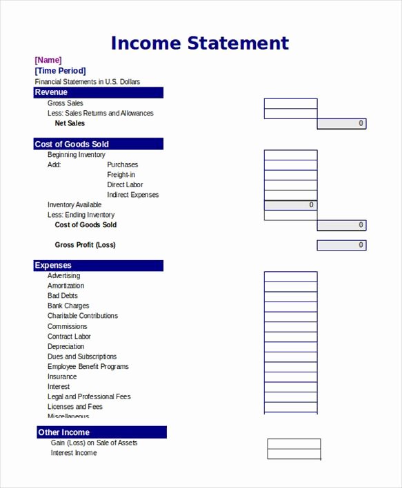 Sample Income Statement Excel Luxury In E Statement Template