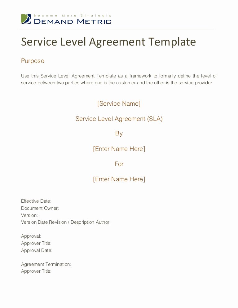 Service Contract Template Doc Awesome Service Level Agreement Template