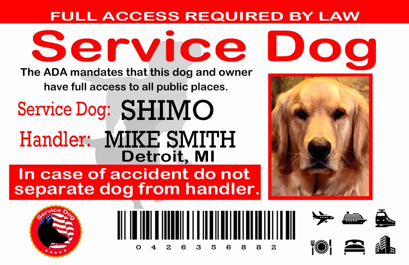 Service Dog Certificate Pdf Awesome Service Dog Certification Of America – Certify My Dog Service Dog Certificaton Service Dog