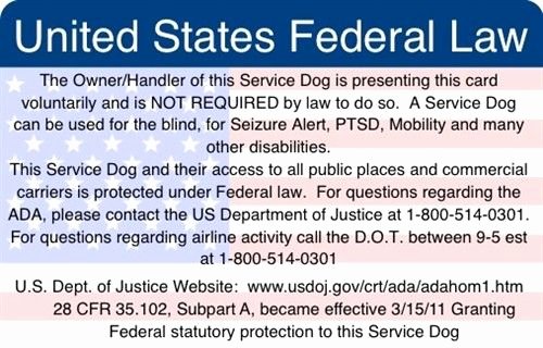 Service Dog Certificate Pdf Inspirational Ada &amp; Federal Law Information Card
