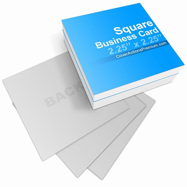 Square Business Card Mockup Lovely Square Business Card Mock Ups