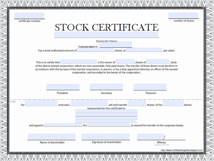 Stock Certificate Template Microsoft Word Awesome 22 Stock Certificate Templates Word Psd Ai Publisher