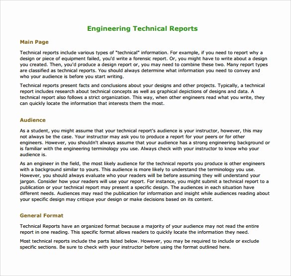 Technical Report Template Word Luxury 17 Sample Engineering Reports Pdf Word Pages