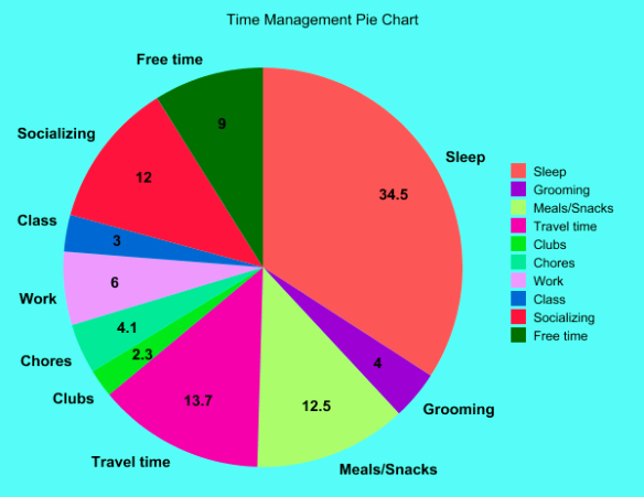 Time Management Pie Chart New My Time Management Chart