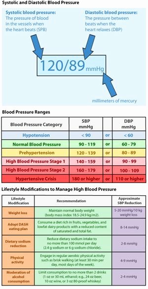 Vaughn Blood Pressure Chart Elegant What are Blood Pressure Ranges Health