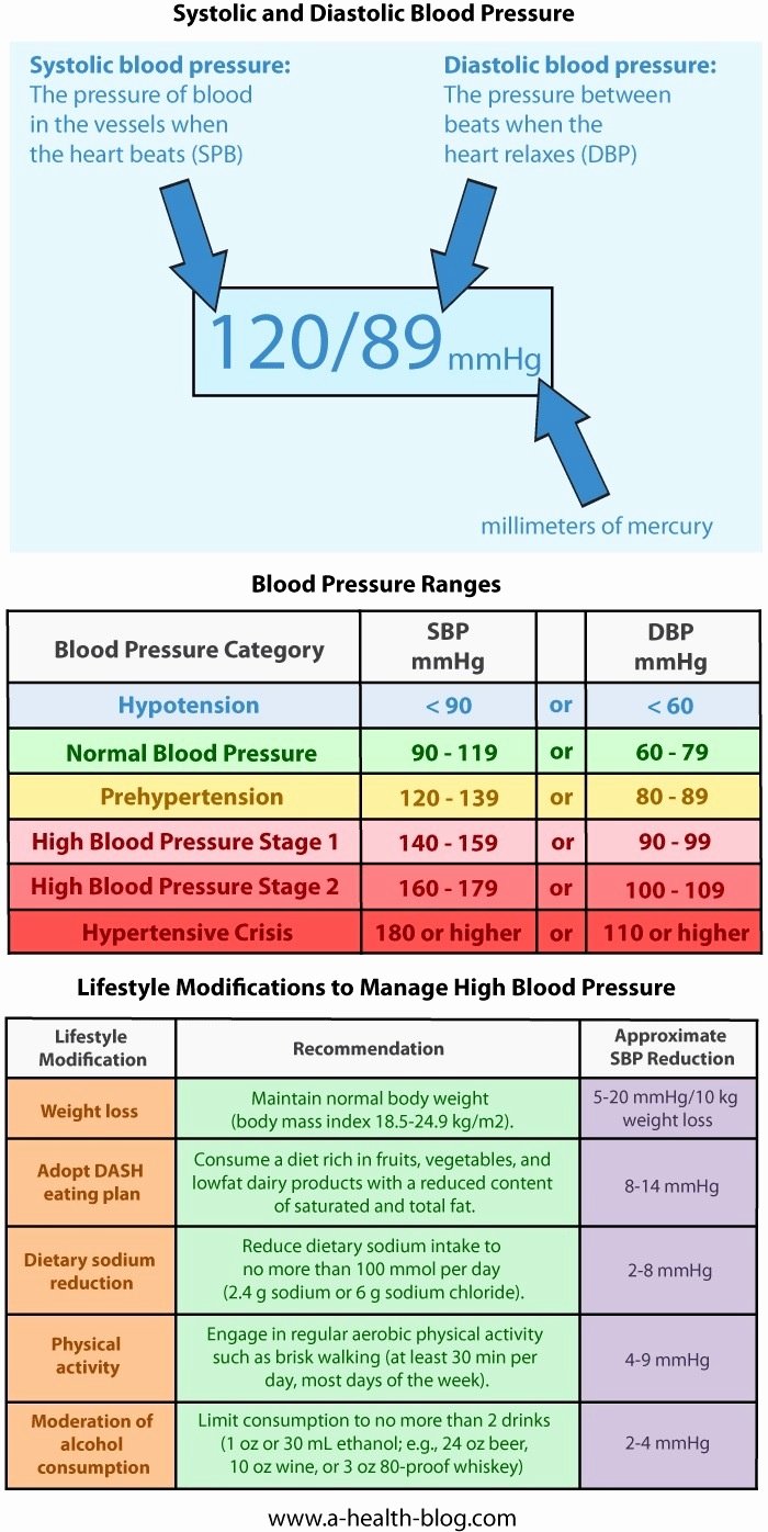 25 Vaughn Blood Pressure Chart Business Template Example