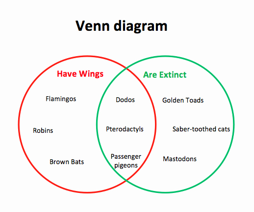 Venn Diagram Template Word Lovely Venn Diagram Template Microsoft Word Templates